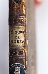 057-0000-001.jpg
