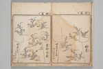 311-0001-005.jpg
