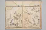 311-0001-010.jpg