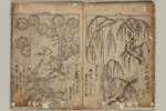 316-0001-010.jpg