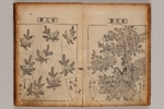 317-0001-004.jpg