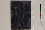 318-0001-001.jpg